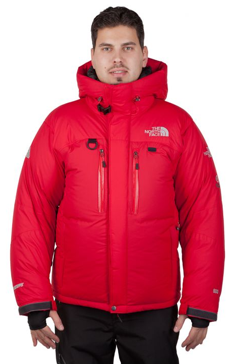 the north face купить куртки