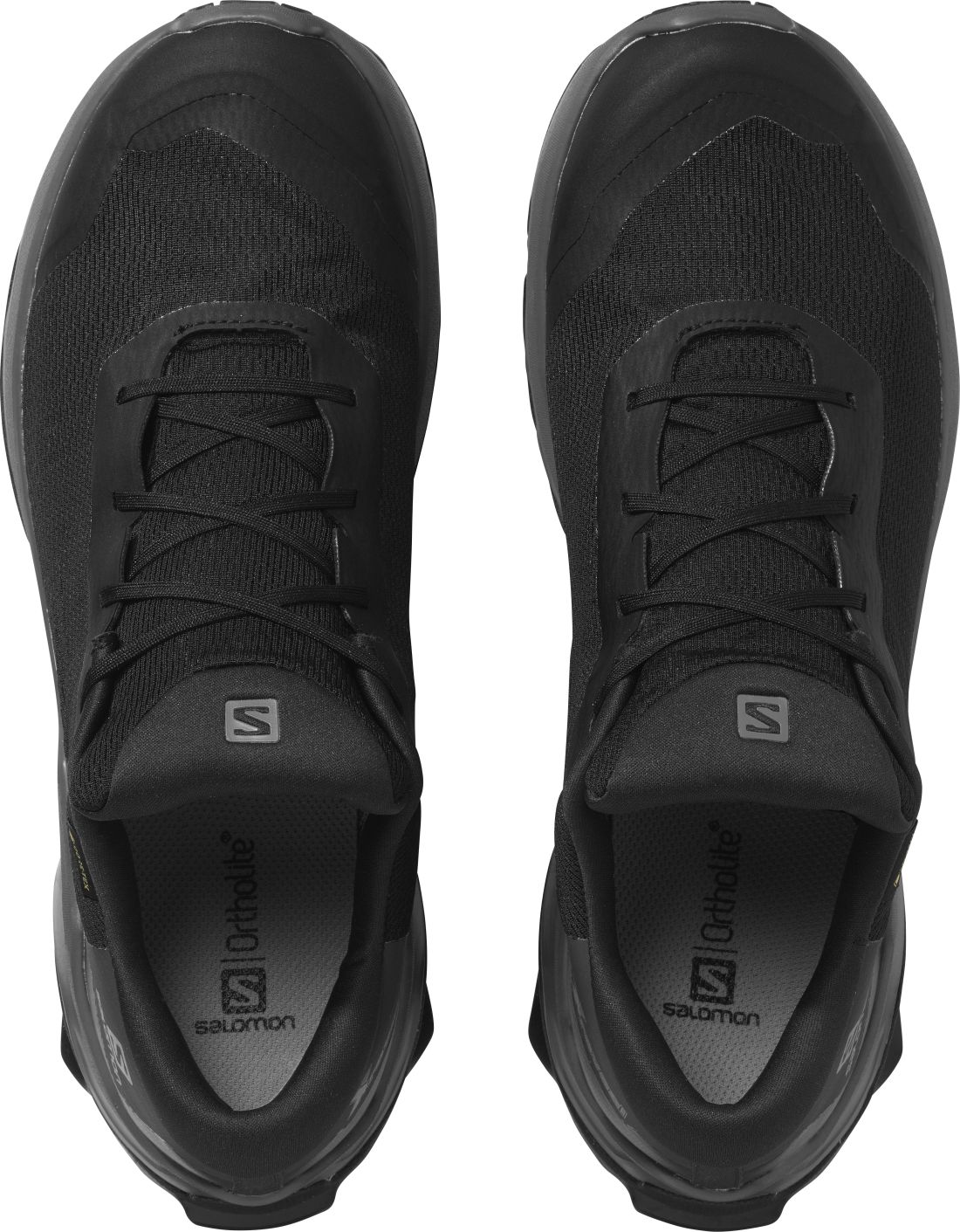 Кроссовки Salomon Shoes X Reveal GTX