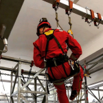 Petzl - Беседка для спасательных работ и подъёмов по верёвке Falcon Ascent