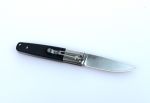 Нож походный складной Ganzo G7211