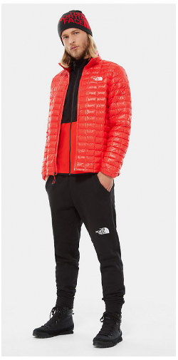 Куртка мужская The North Face Thermoball Eco