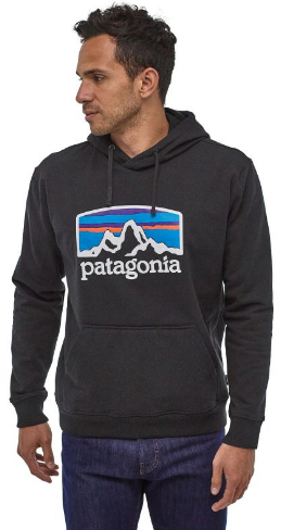 Классическая толстовка Patagonia Fitz Roy Horizons Uprisal Hoody