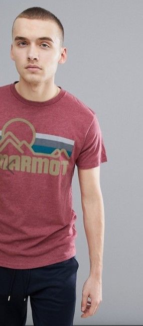 Marmot - Мужская футболка с винтажным логотипом на груди Coastal