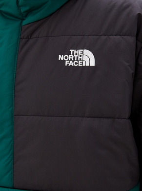 Куртка мужская The North Face Insulated Fanorak