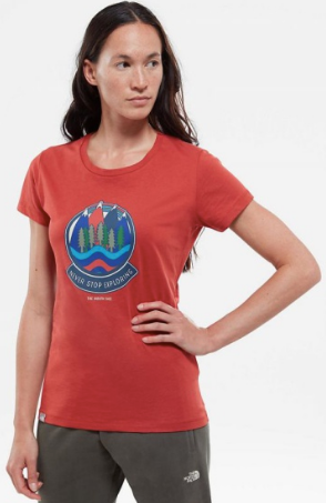 The North Face - Классическая футболка S/S NSE Series Tee