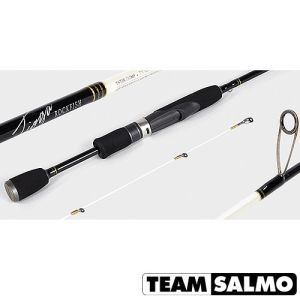 Team Salmo - Отличный спиннинг Team Salmo Tioga 8