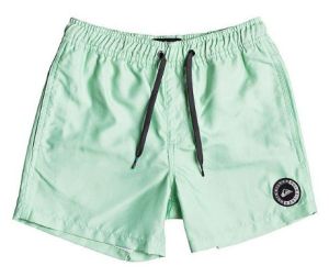 Quiksilver - Детские шорты для мальчиков Everyday 13"