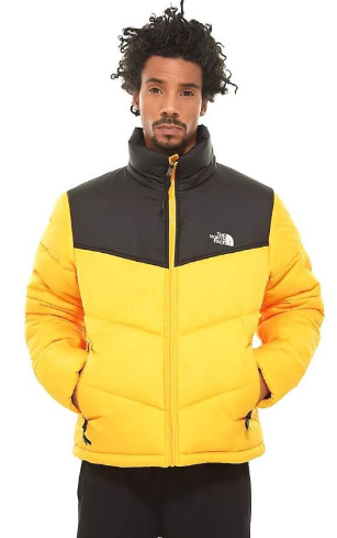 Куртка мужская The North Face Saikuru