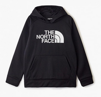 The North Face - Детская толстовка для мальчиков Surgent Pullover Hoodie