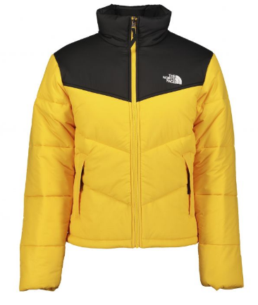 Куртка мужская The North Face Saikuru