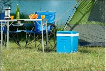 Контейнер для хранения продуктов Campingaz Icetime Plus 30