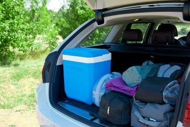 Контейнер для хранения продуктов Campingaz Icetime Plus 30