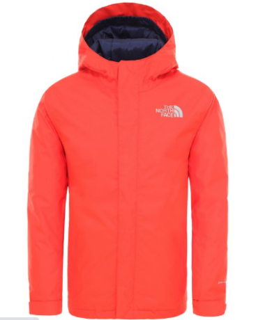 Куртка детская The North Face Snow Quest