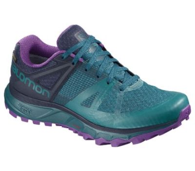 Salomon - Кроссовки беговые женские Trailster Gtx W