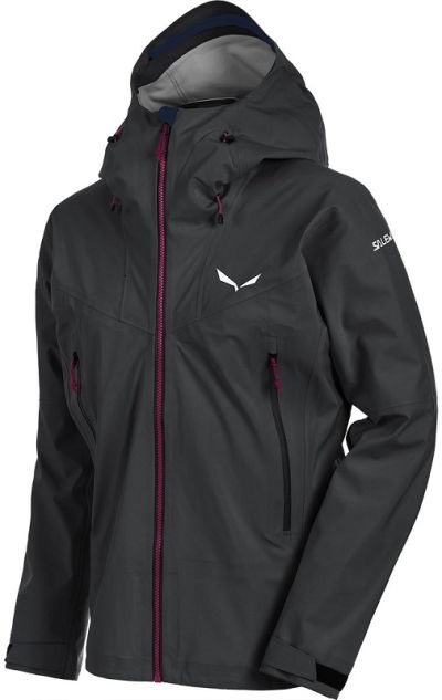 Salewa — Куртка мембранная 2017-18 Ortles Gore-Tex Stretch М Jkt