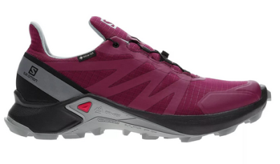 Salomon - Беговые женские кроссовки Supercross GTX W
