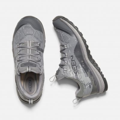 Легкие треккинговые кроссовки Keen Terradora Evo W