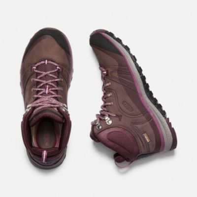 Мембранные женские ботинки Keen Terradora Leather Mid WP W