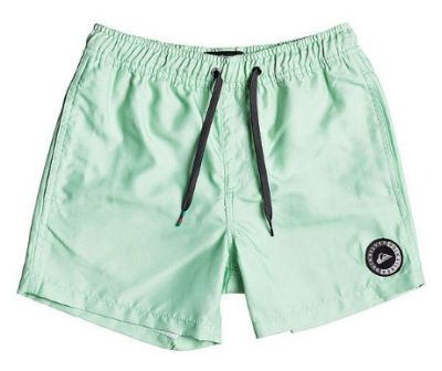 Quiksilver - Детские шорты для мальчиков Everyday 13"