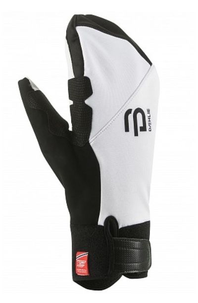 Bjorn Daehlie - Зимние варежки 2018-19 Mittens Symbol 2.0