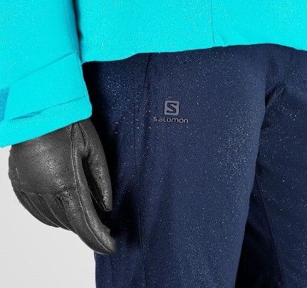 Salomon - Женские теплые брюки Icemania Pant W