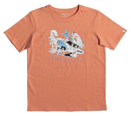 Quiksilver - Детская футболка для мальчиков 540574