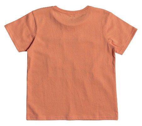 Quiksilver - Летняя футболка для мальчиков 5182