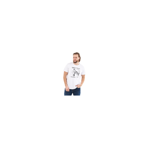 Мужская футболка с принтом Dragonfly Snow 