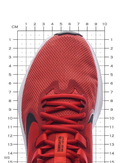 Мужские кроссовки Nike Downshifter 9