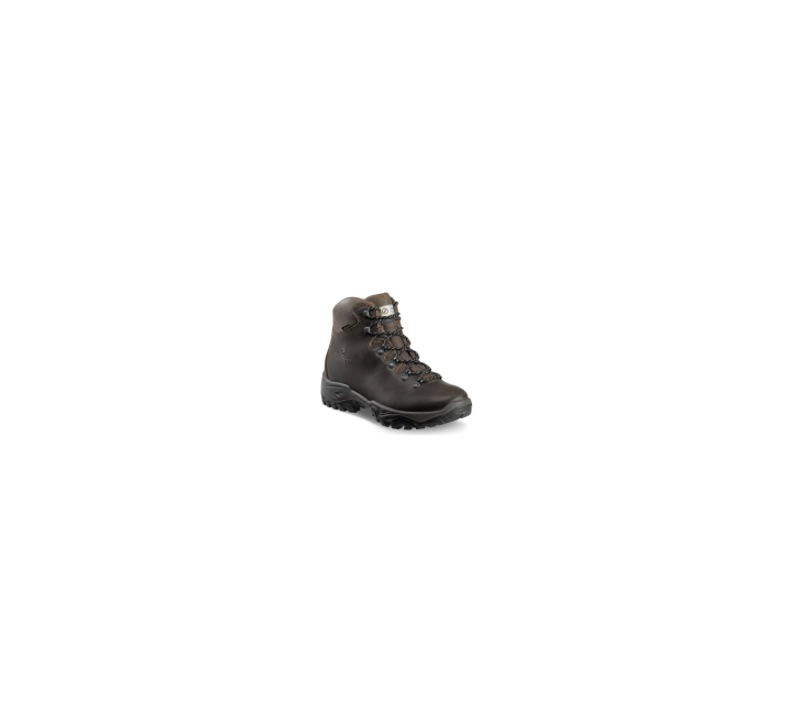 Легкие треккинговые ботинки Scarpa Terra GTX