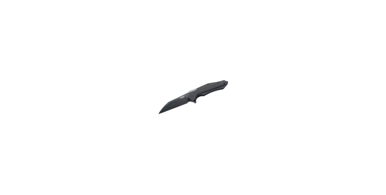 Складной нож Ganzo Firebird FH31B D2 Steel