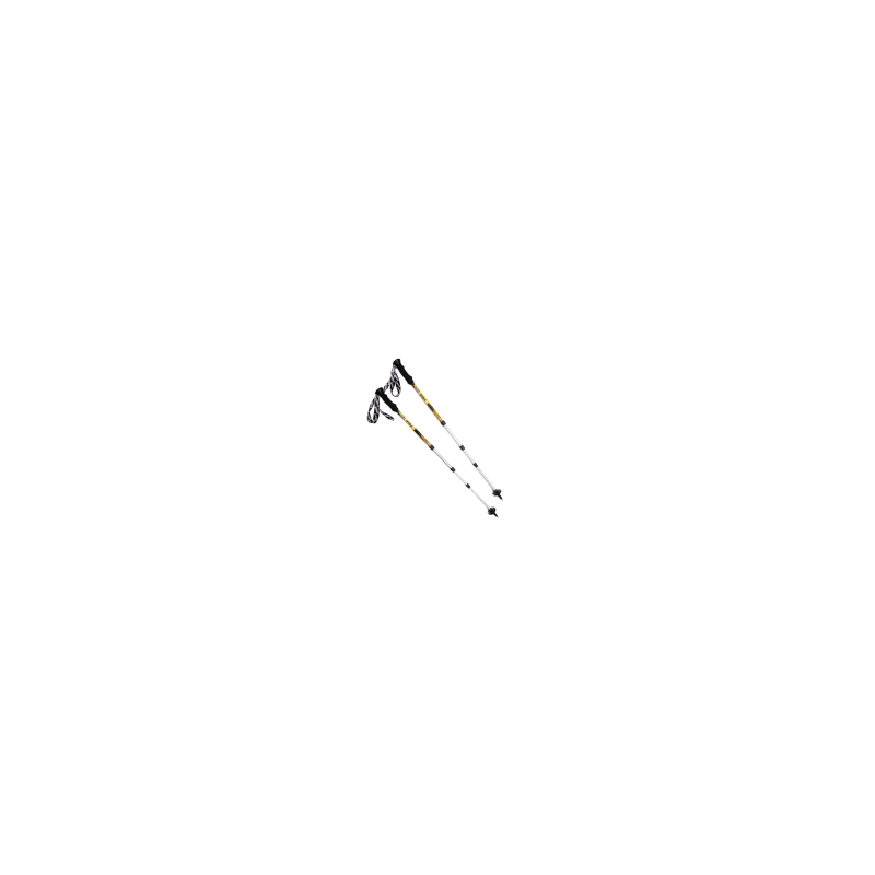 Палки для треккинга BTrace 4Point