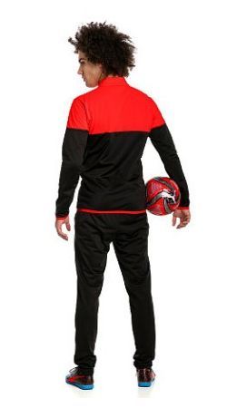 Puma - Спортивный мужской костюм ftblPLAY Tracksuit