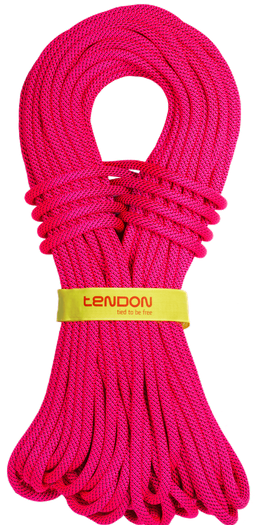 Динамическая веревка Tendon Master 9.0 Tefix