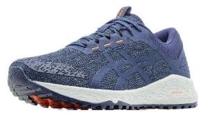 Asics - Мужские беговые кроссовки Alpine XT