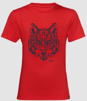 Лёгкая детская футболка Jack Wolfskin Brand T Kids