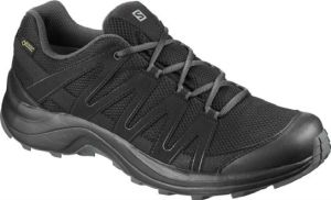 Кроссовки практичные мужские Salomon Xa Ticao Gtx