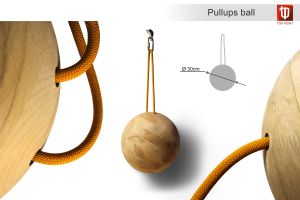 Тренажер для пальцев и рук Top Point Pullups Ball