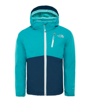 Куртка детская The North Face SnowDrift