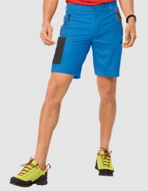 Мужские шорты из софтшелла Jack Wolfskin Active Track Shorts Men