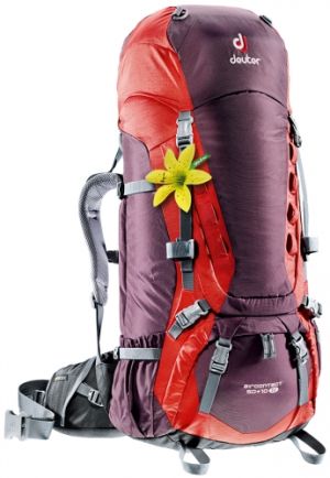 Deuter - Рюкзак женский экспедиционный Aircontact 64 SL