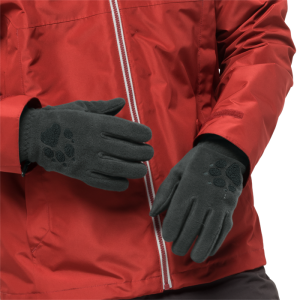 Перчатки стильные флисовые Jack Wolfskin Paw Gloves