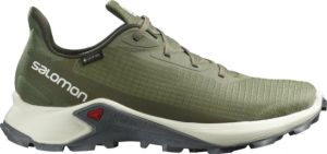 Кроссовки для туризма Salomon Alphacross 3 GTX