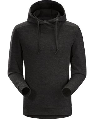 Arcteryx - Мужская толстовка Elgin Hoody