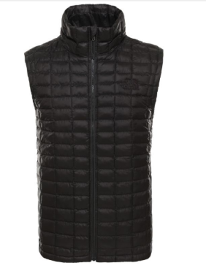 Жилет мужской The North Face Thermoball Eco