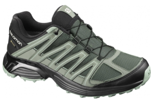 Кроссовки Salomon Xt Asama Gtx Urban Chic/Bk/Gre