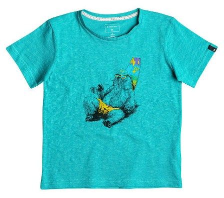 Quiksilver - Детская футболка для мальчиков 40768