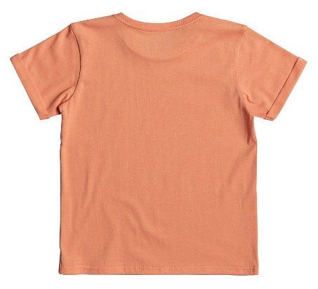 Quiksilver - Детская футболка для мальчиков 51825